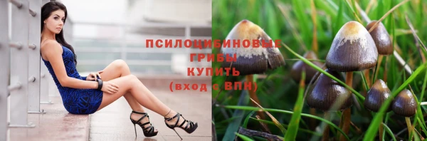 герыч Аркадак