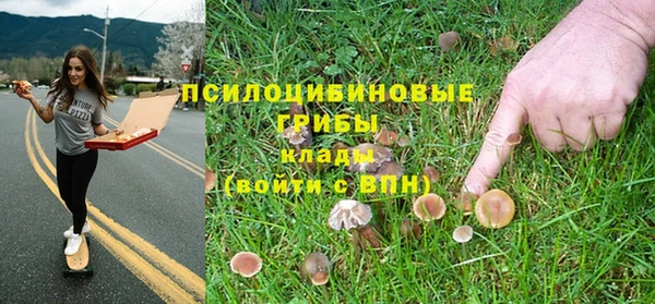 PSILOCYBIN Арсеньев