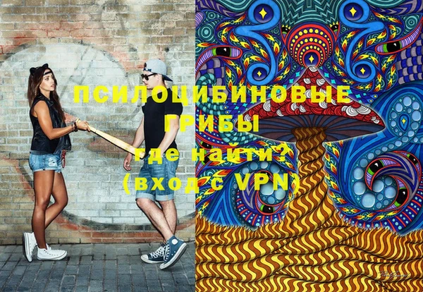 ПСИЛОЦИБИНОВЫЕ ГРИБЫ Армянск