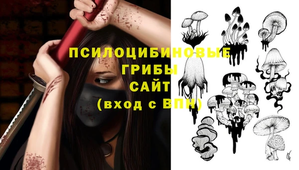 ПСИЛОЦИБИНОВЫЕ ГРИБЫ Армянск