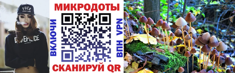 Псилоцибиновые грибы мицелий  Каспийск 