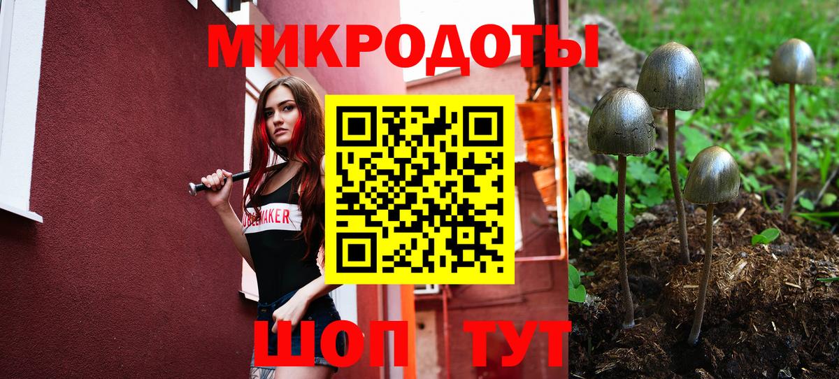 Галлюциногенные грибы MAGIC MUSHROOMS  Вход с VPN  Каспийск 