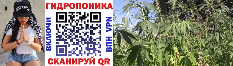 МАРИХУАНА Bruce Banner  цены наркотик  Каспийск 